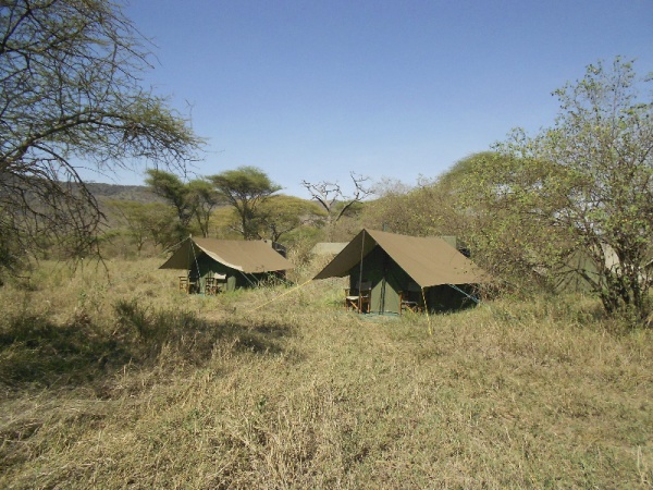 Ndutu Halisi Camp
