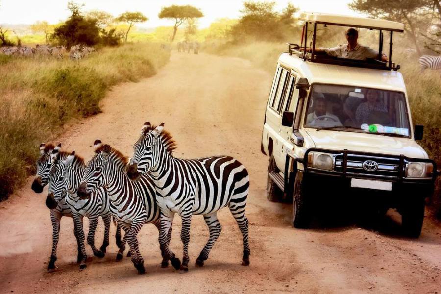 4x4 safaris tanzania