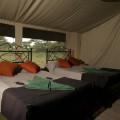 campamentos móviles de safaris en tanzania 3