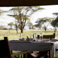 campamentos móviles de safaris en tanzania 20