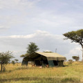 campamentos móviles de safaris en tanzania 23