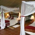 Mbuzi Mawe Tented Lodge 10
