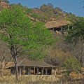 serengeti pioneer camp 7