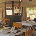 serengeti pioneer camp 12
