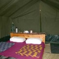 olduvai tented lodge 10