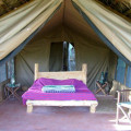 olduvai tented lodge 11
