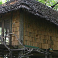 Lake Manyara Tree Lodge 6
