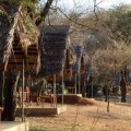 Tarangire Safari Lodge 18