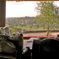 Tarangire Safari Lodge 30